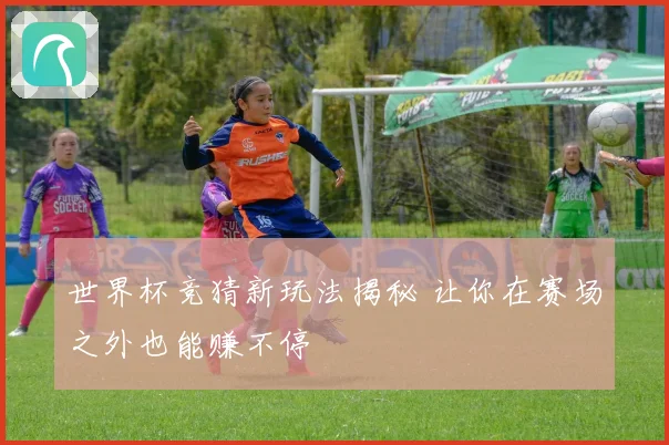 世界杯竞猜新玩法揭秘 让你在赛场之外也能赚不停